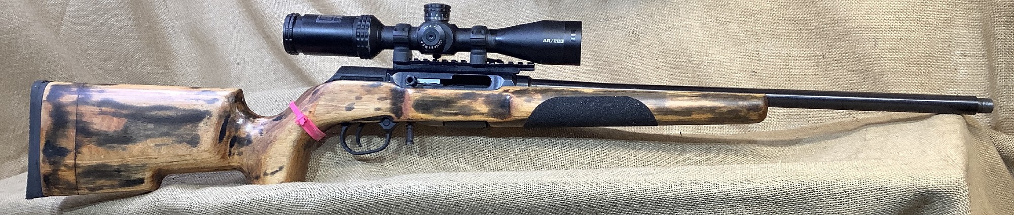 Savage, A22R, .22LR, Mag Cap: 10, #3593