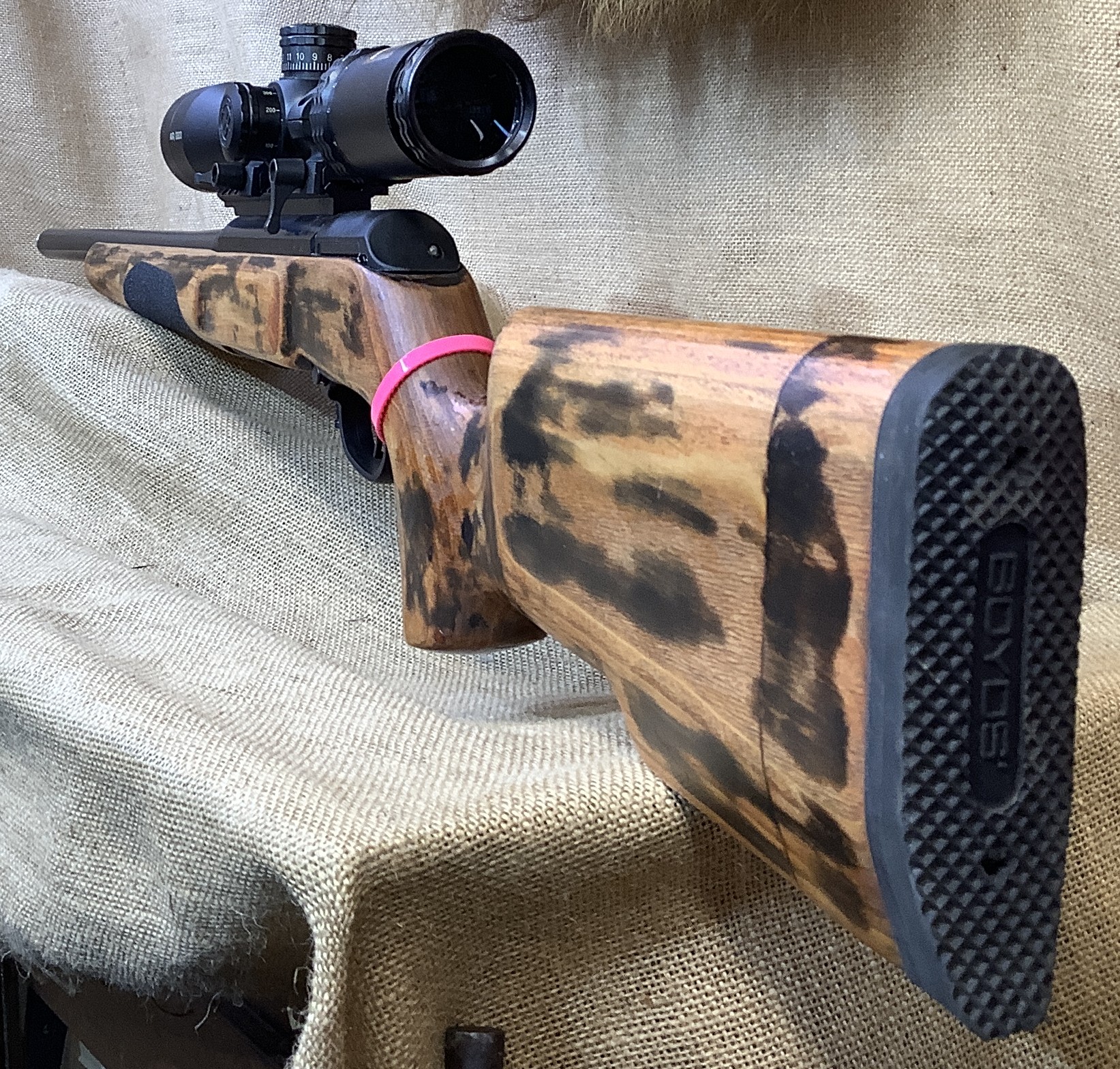 Savage, A22R, .22LR, Mag Cap: 10, #3593