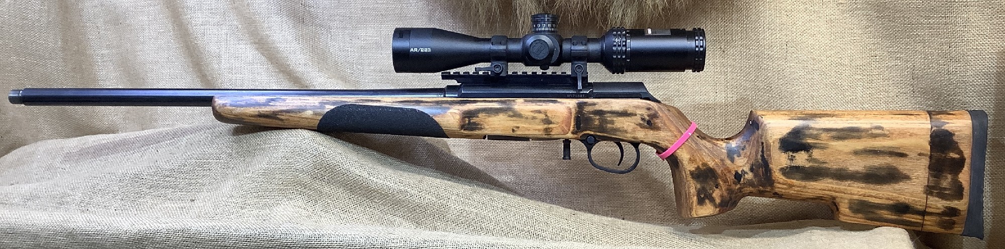 Savage, A22R, .22LR, Mag Cap: 10, #3593
