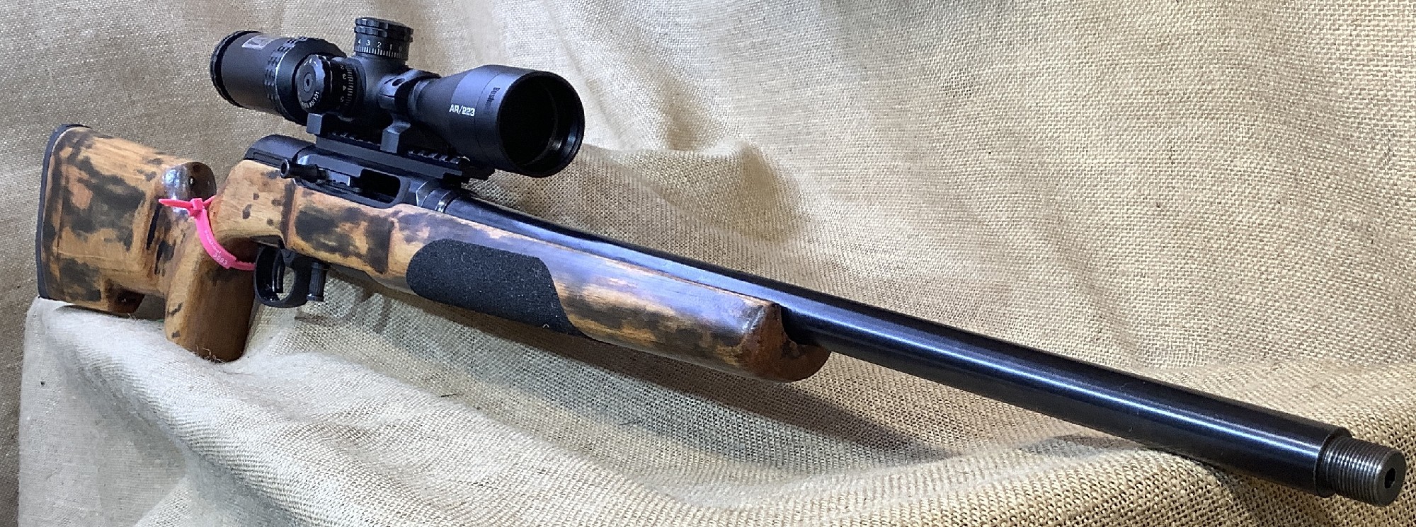 Savage, A22R, .22LR, Mag Cap: 10, #3593