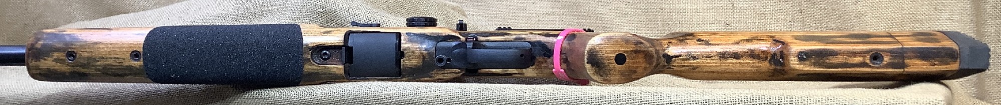 Savage, A22R, .22LR, Mag Cap: 10, #3593