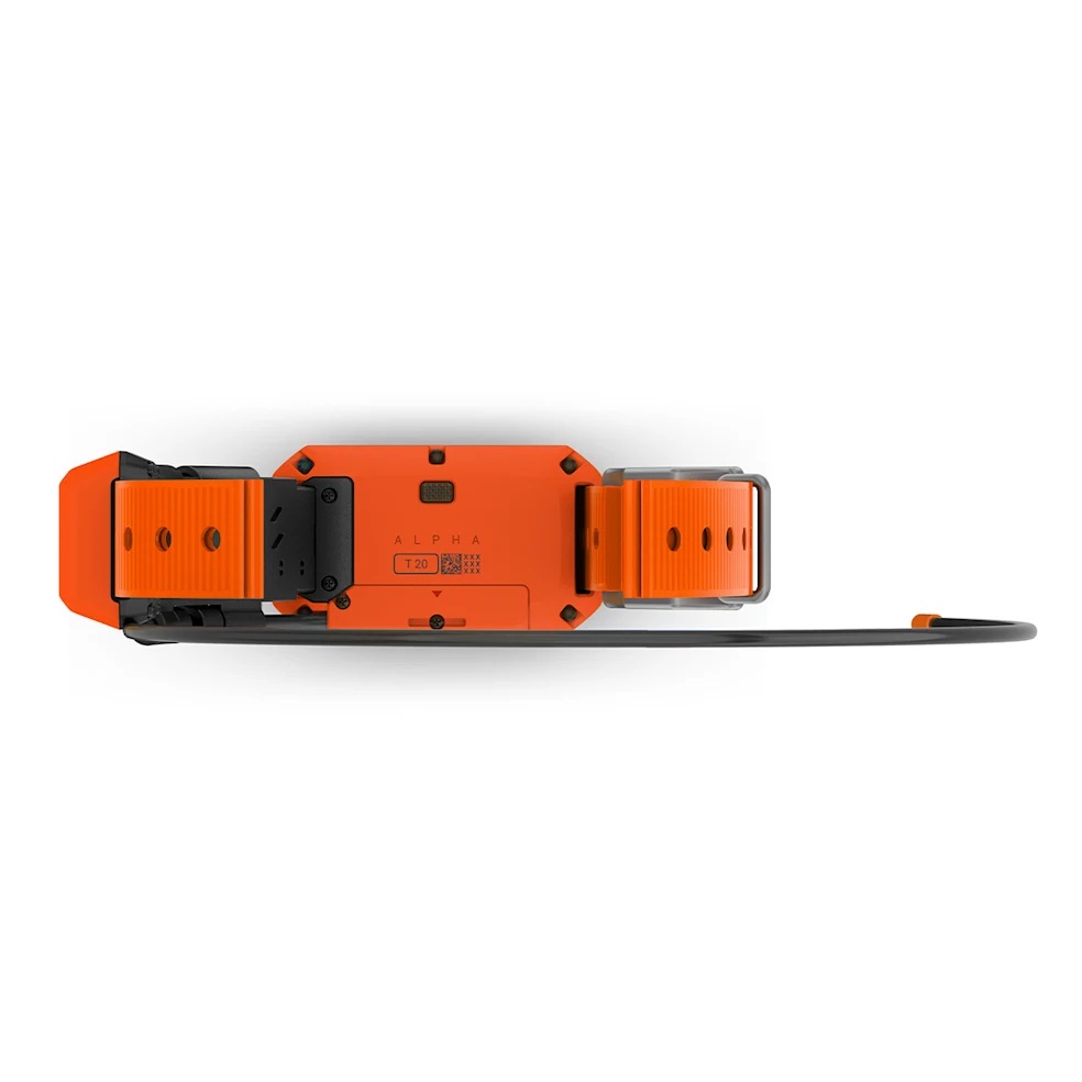 Garmin Alpha T 20 Gps Dog Collar