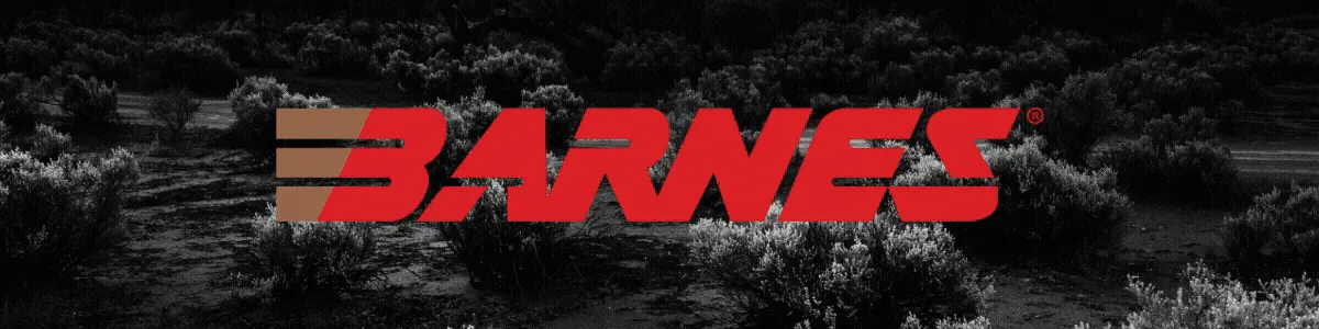 Homepage update